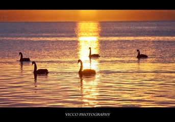 CRW_5536.jpg