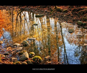 IMG_3792.jpg