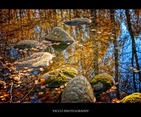 IMG_3800.jpg