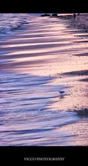 CRW_4639.jpg