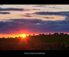IMG_7018.jpg