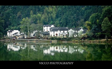 IMG_2557.jpg