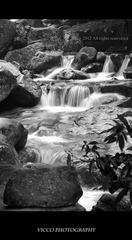 IMG_2425.jpg