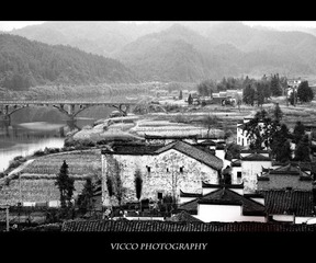 IMG_2183.jpg