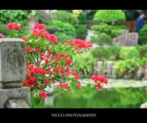 IMG_0550.jpg