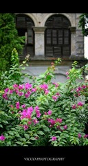 IMG_0613.jpg