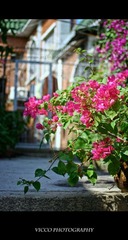 IMG_0700.jpg