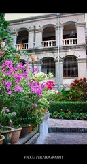 IMG_1082.jpg