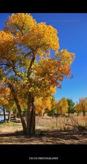 IMG_7020.jpg