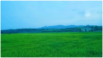 DSC00407-02