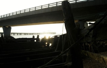 _DSC2710