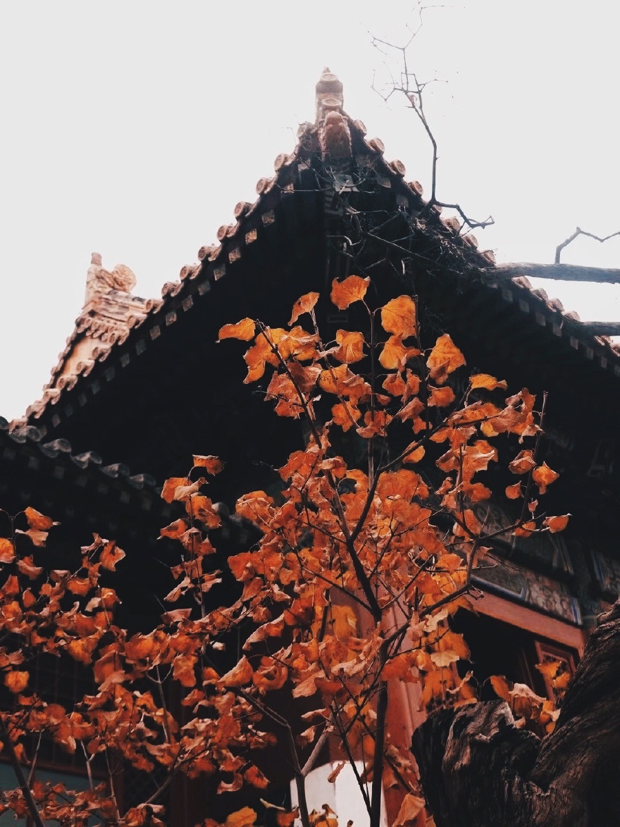 潜龙府邸61雍和宫