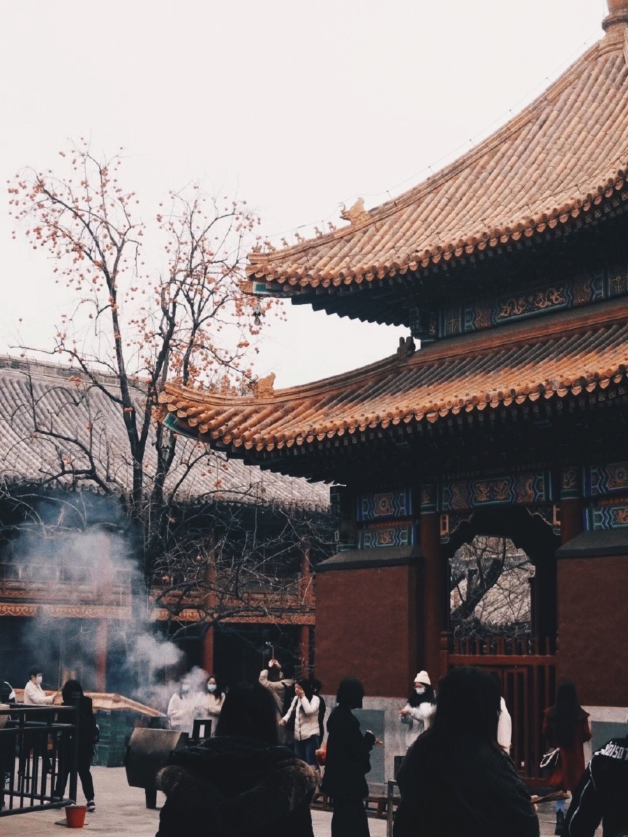 潜龙府邸61雍和宫