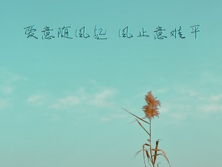 93490D9A-B7F5-413E-9D46-15B87AAB6800/L0/001