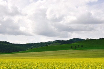 2634455
