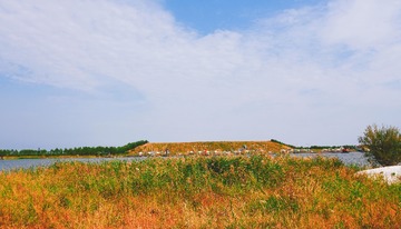 2736426