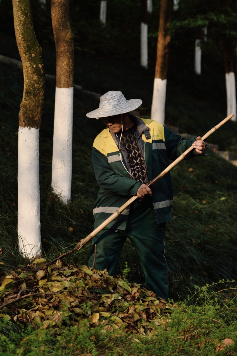清理落叶的花匠