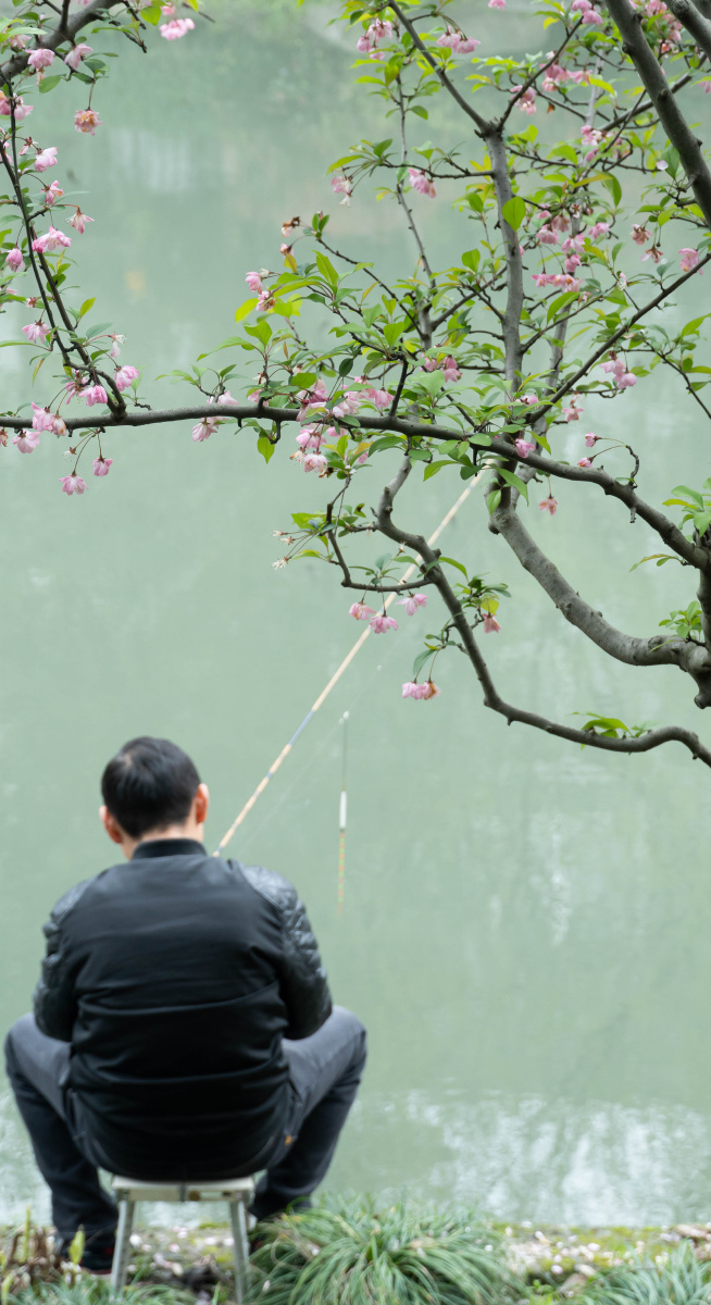 春江独钓