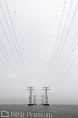 _V1A8911