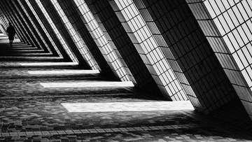 _V1A0624