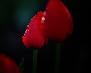 0B1377F1-A381-45FC-95FA-280FC911BC83/L0/001