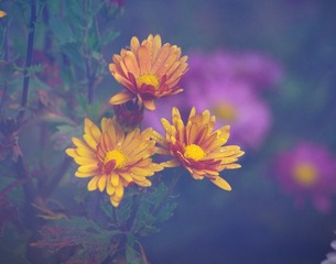 0CF5BBB0-B65A-4A5E-AFF5-A5346ED023CD/L0/001