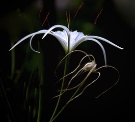 C7499BB3-5661-40F4-8519-D78B158C3CE5/L0/001