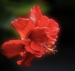 193C99C1-F1F8-4531-8C12-E656793CE429/L0/001