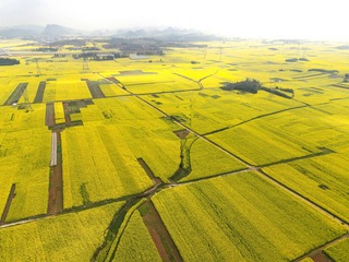 DJI_0335-0