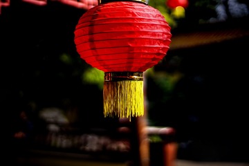 _DSC6182-0