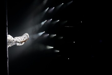LRG_DSC09889