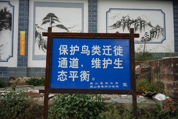 LRG_DSC02648