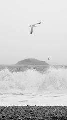 海的声音