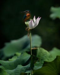 001