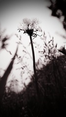 IMG_20160525_103912-2