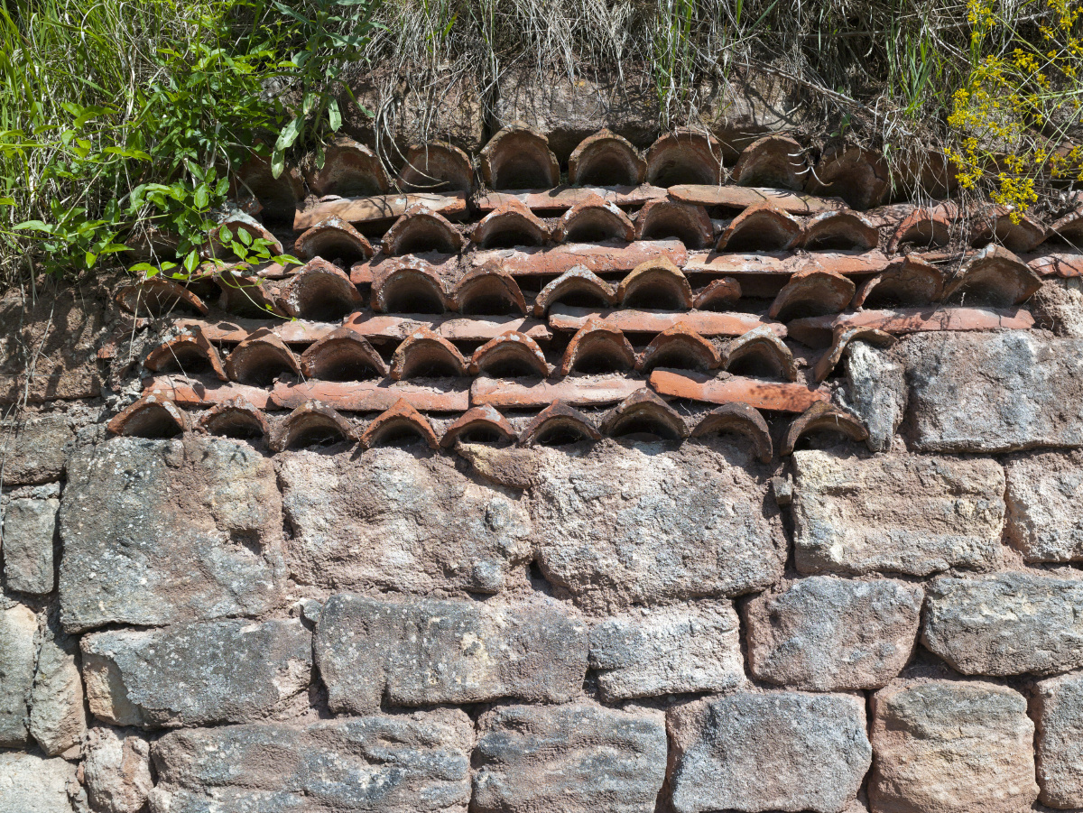 马- 第七艺术 - 图虫