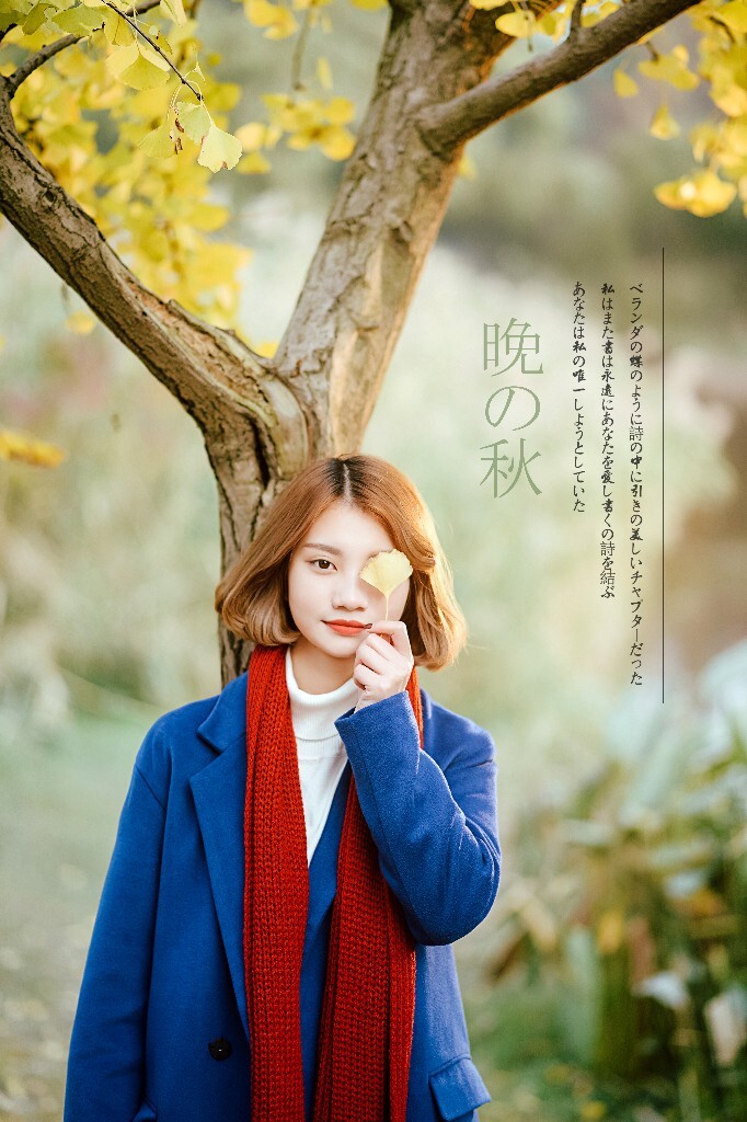 从你的全世界路过
