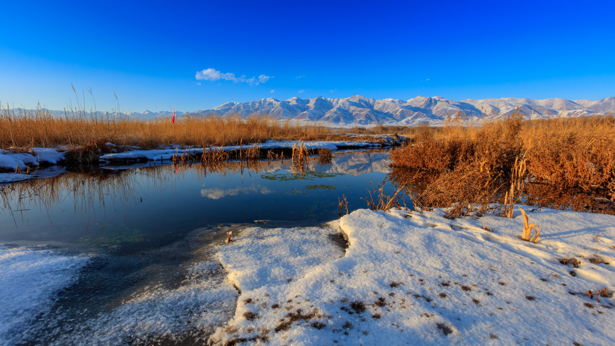 新疆博州温泉湿地公园