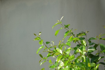 98FD7F00-8E5E-42DE-9F61-C6E4AC6E7B23/L0/001