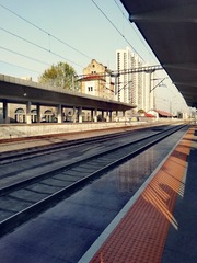 493531