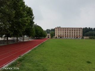 493535