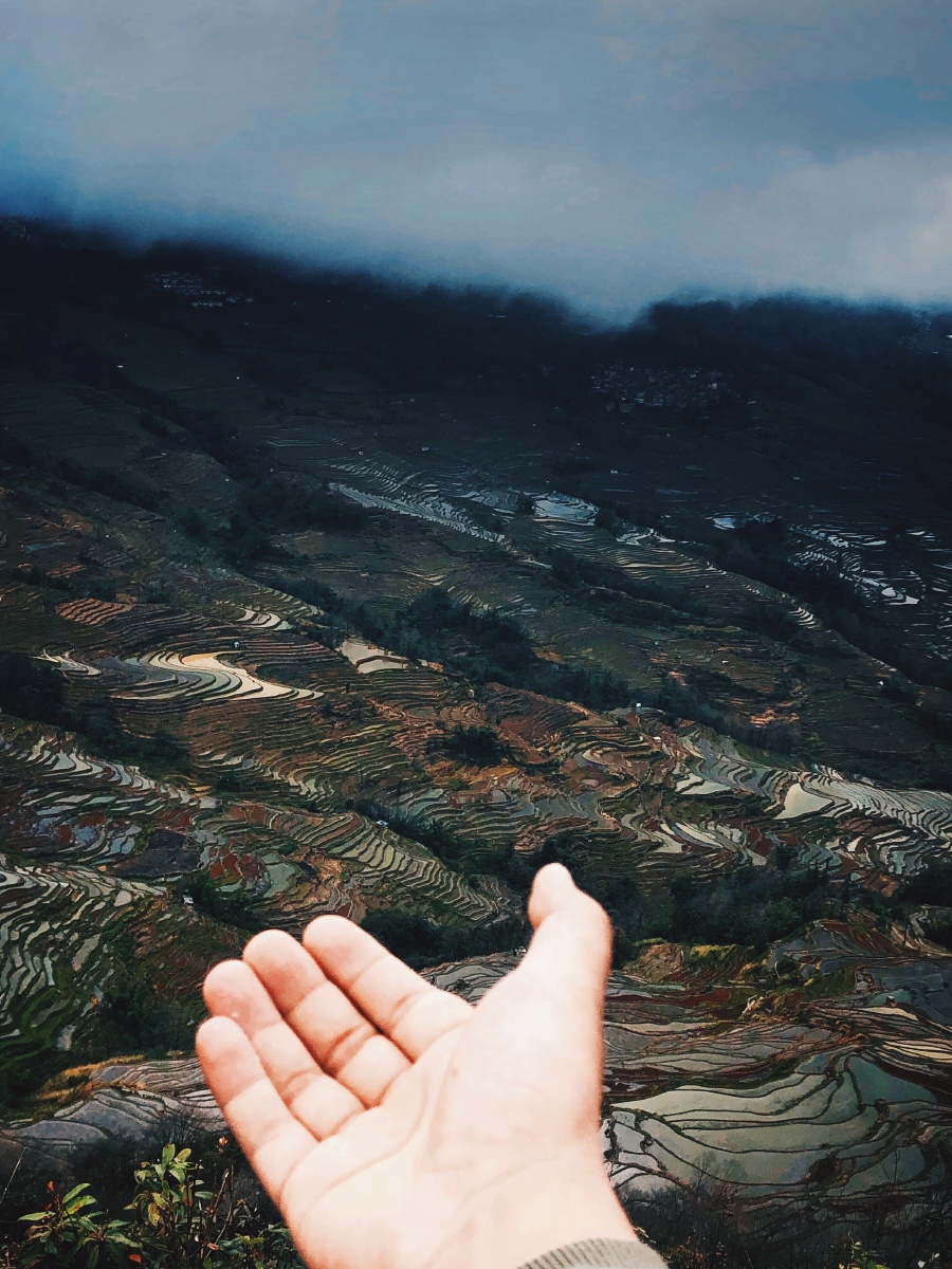如果我向你伸手 你是否愿意跟我回元阳