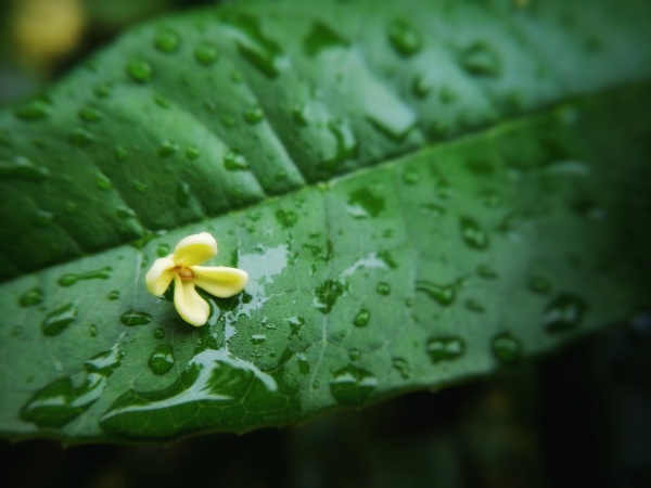 易茗的最新作品