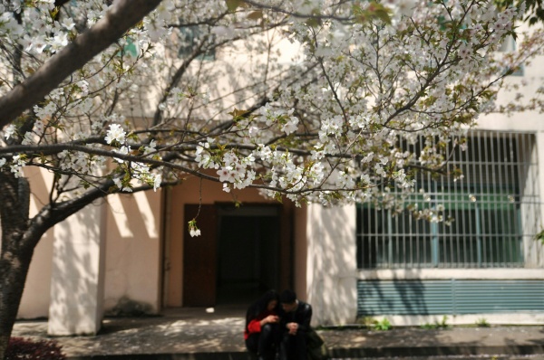 易茗的最新作品