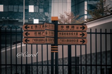282313