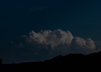 1200607