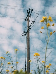 1355032