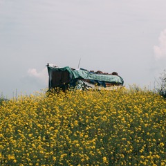 1355033