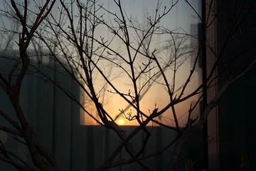6E6DD26B-0420-42D2-BD95-9A92DEC0557F/L0/001