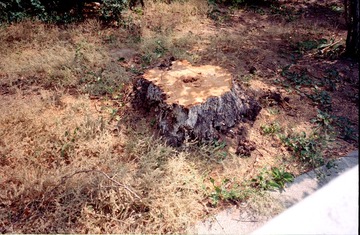Scan-160709-0034